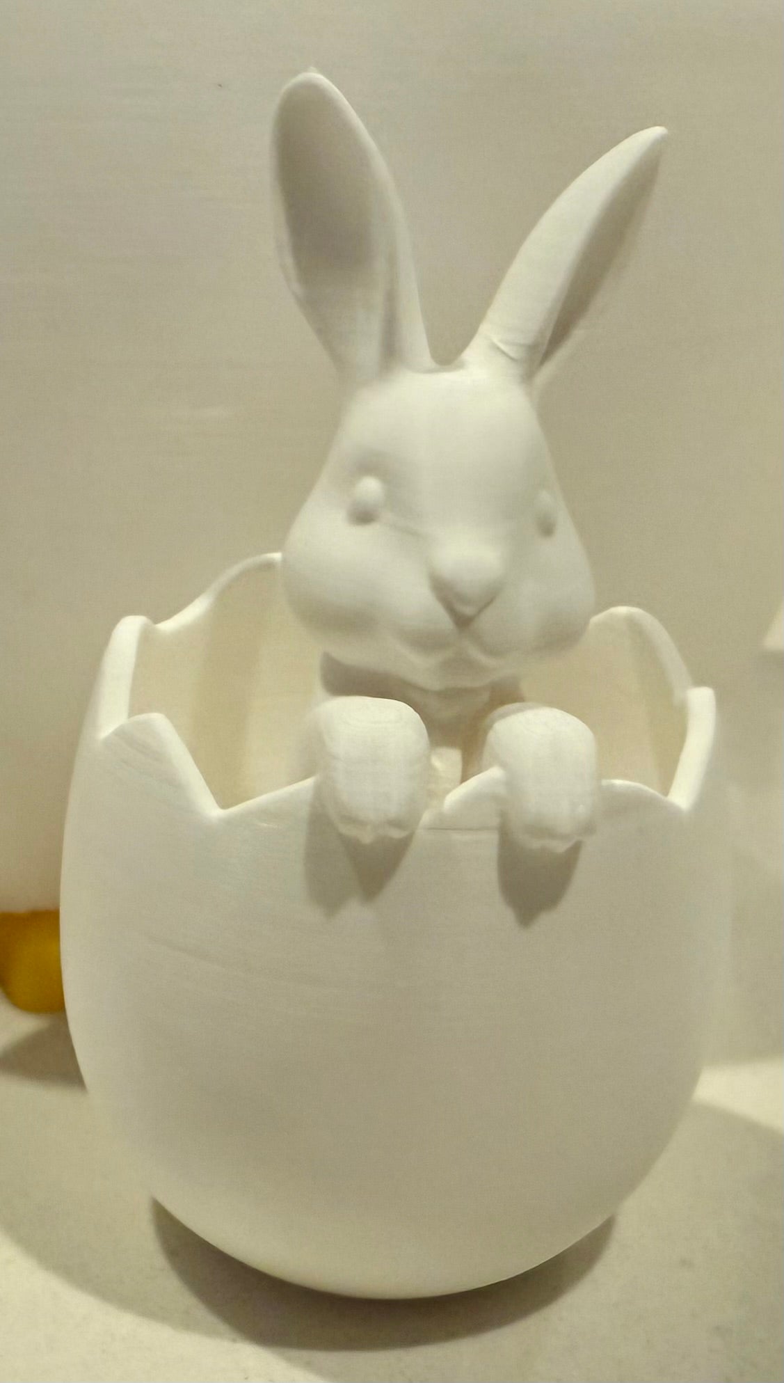 Bunny in Eggshell